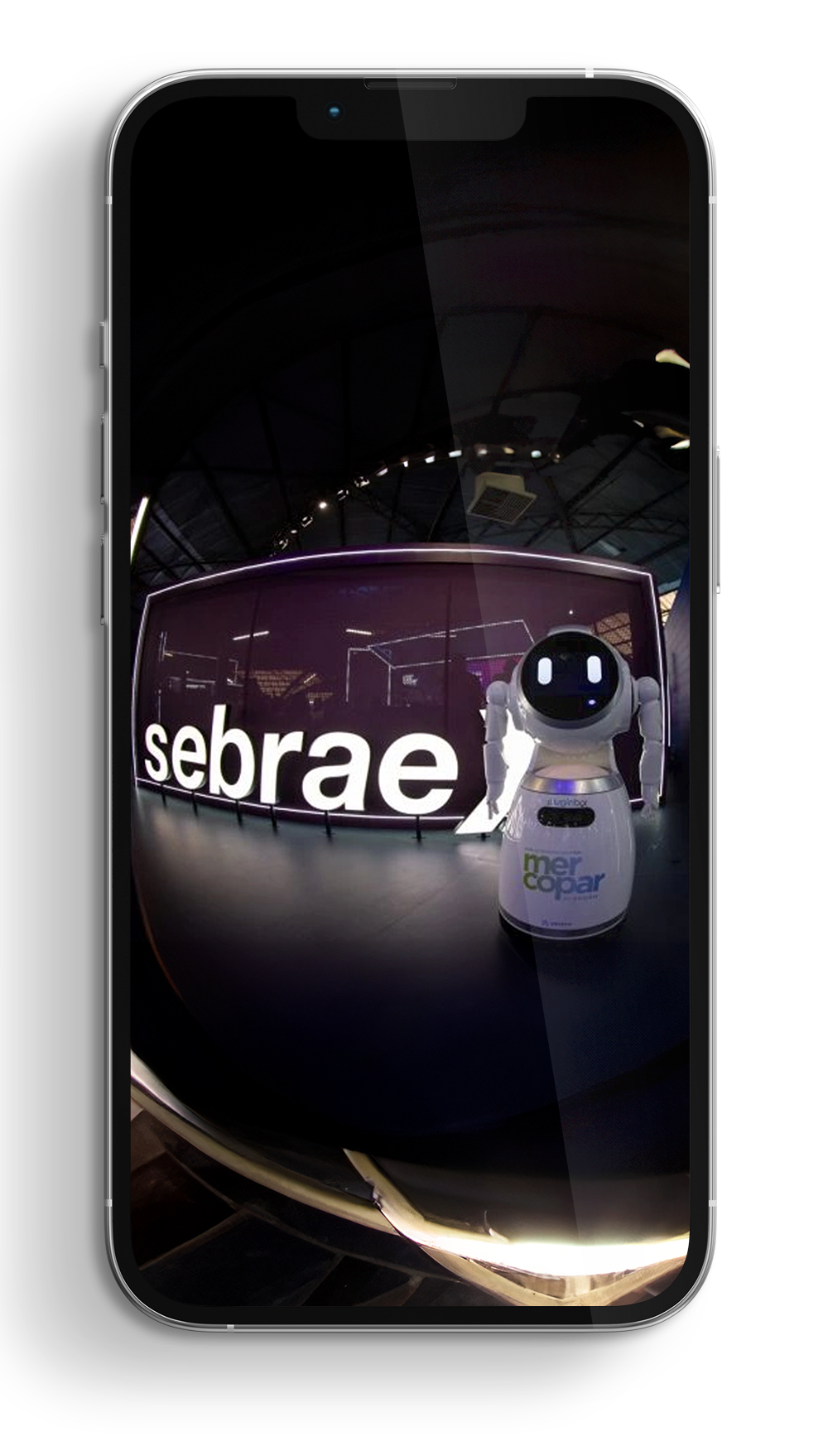blog_sebraex
